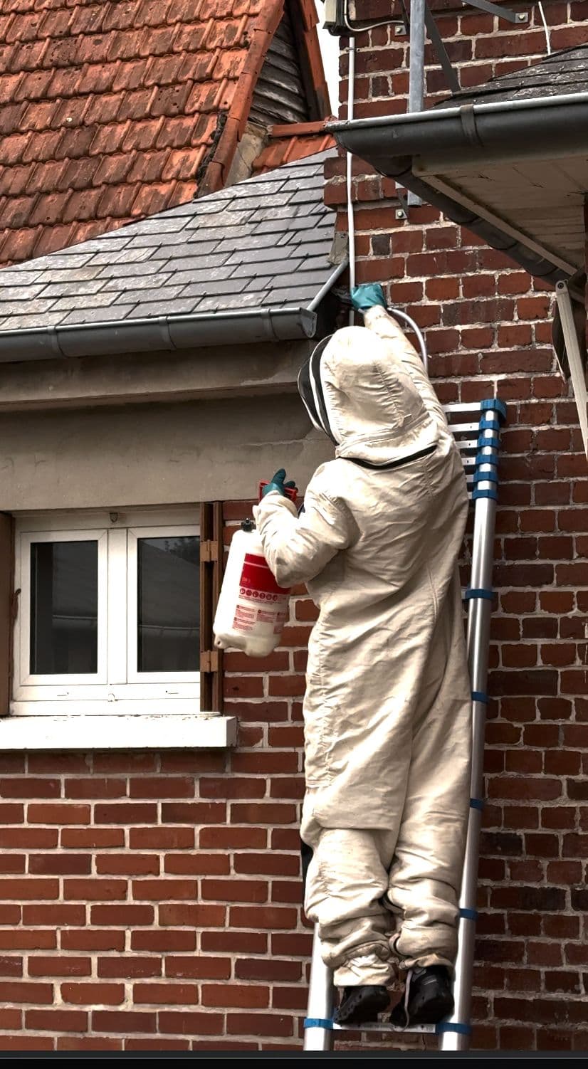 Technicien Experts Nuisible en intervention sur toiture